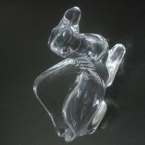 🐪 Crystal Camel 🐫